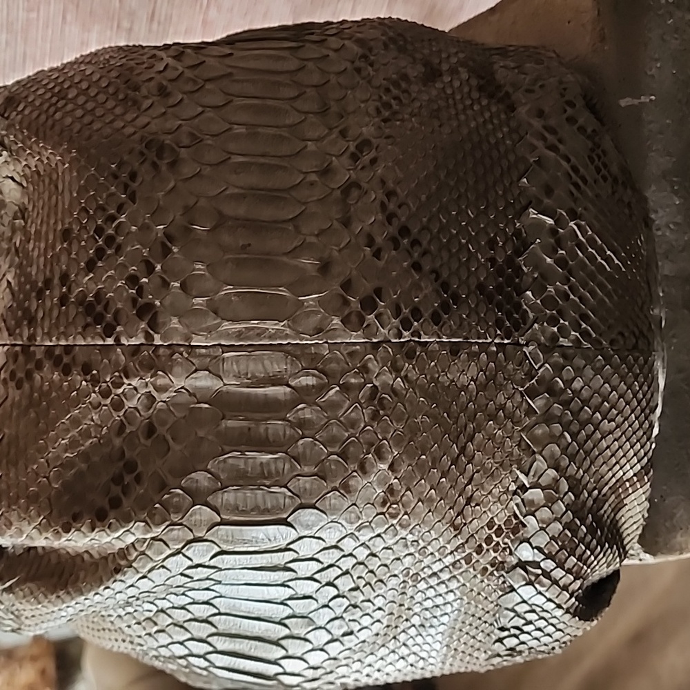 Bottega Veneta Leather Limited Edition Hobo Pytho… - image 6